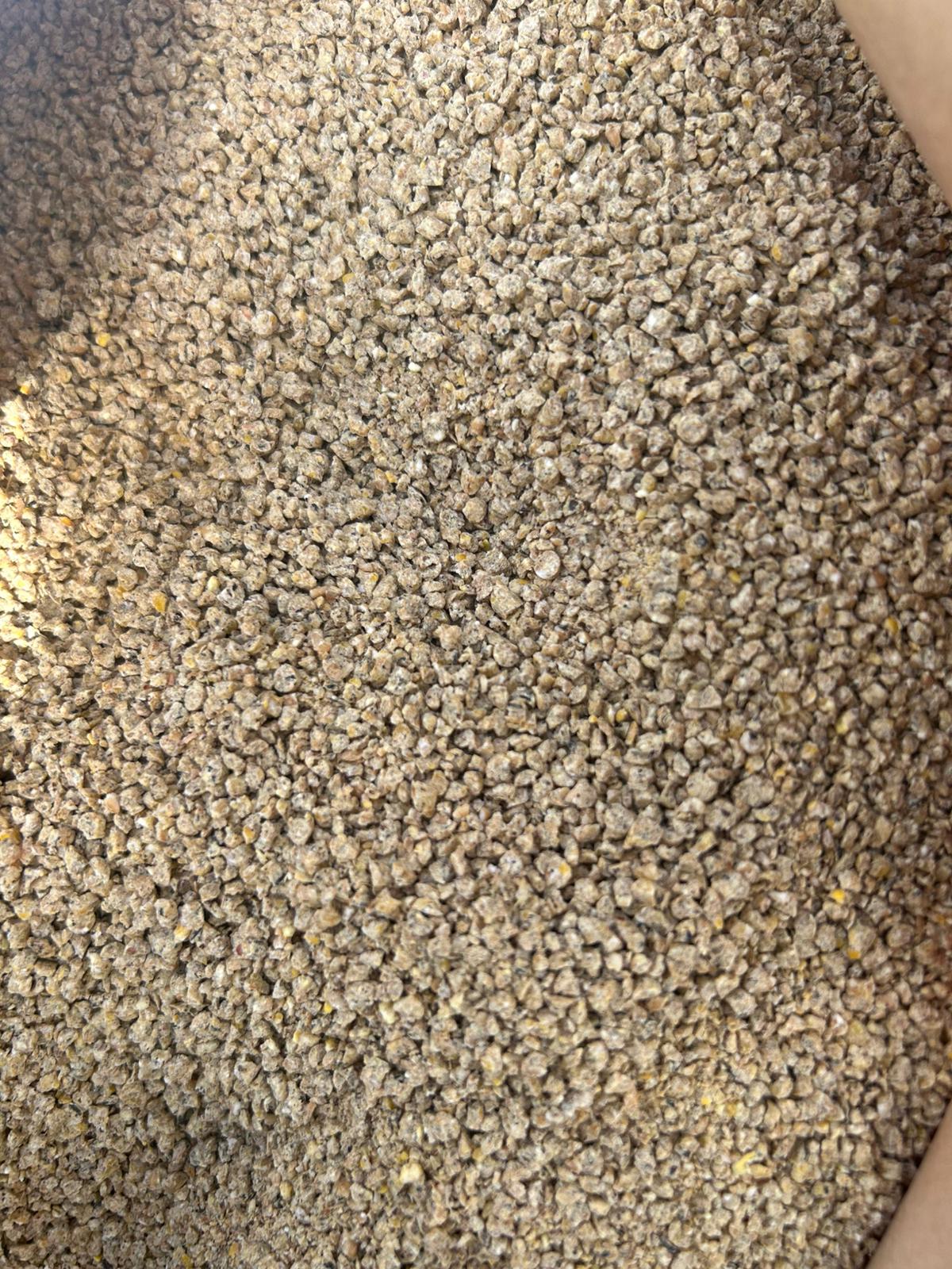 Furaj pui starter brizurat PRIMO, 5 kg