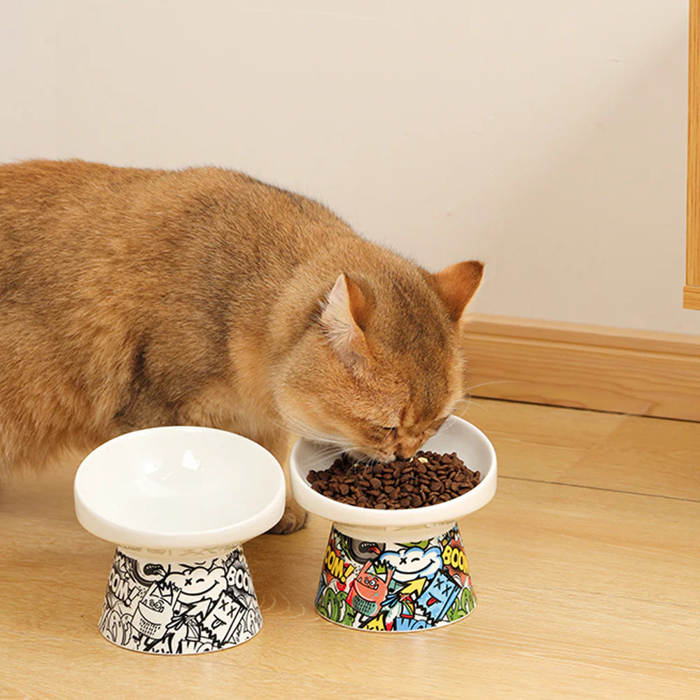 Cstron ceramic COLOR