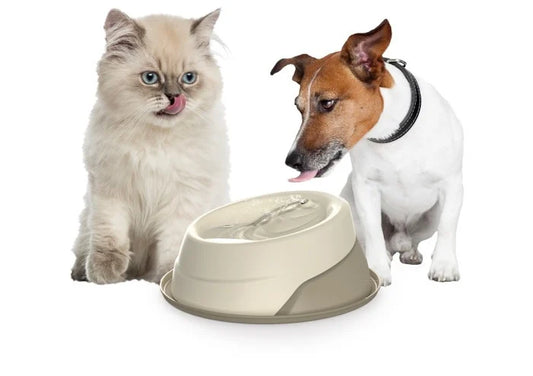 Castron antiderapant-FANTANA AUTOMATA