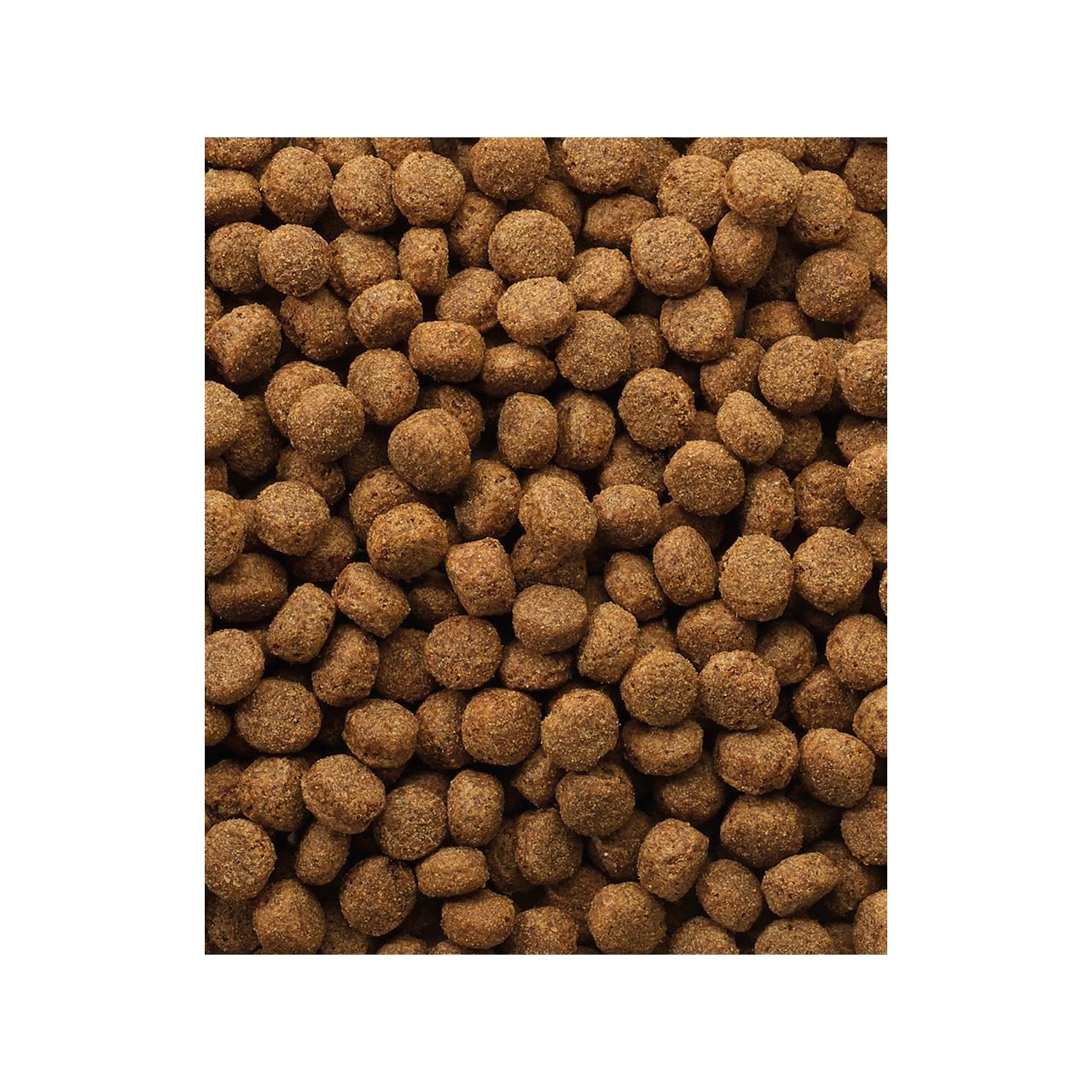VL DOG CLASSIC OKE PUPPY 10KG
