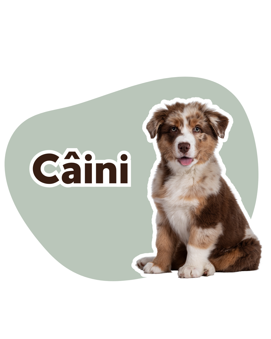 Câini