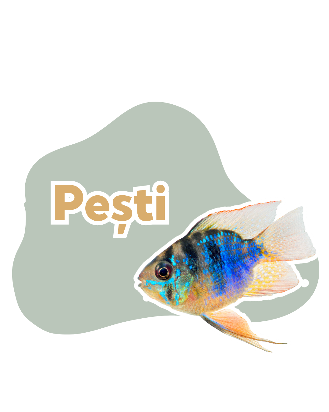 Pești