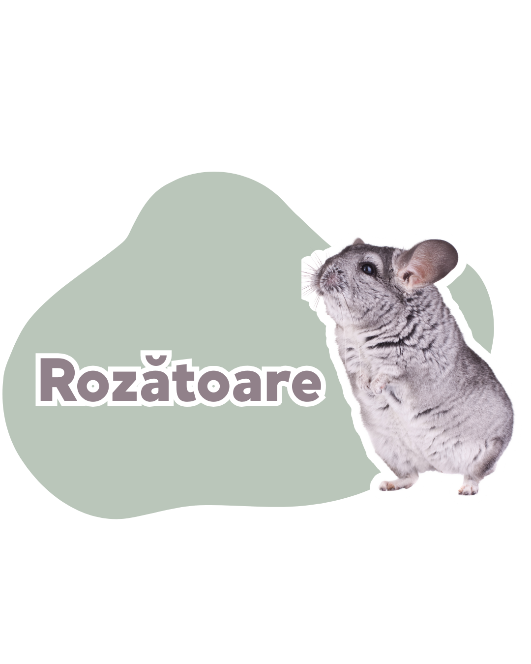 Rozătoare