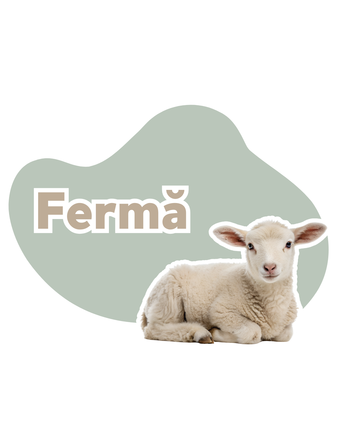 Fermă