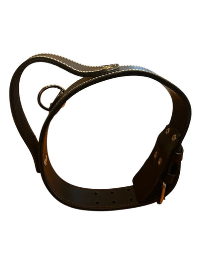 Zgardă câine 5 CM dublă cu mâner