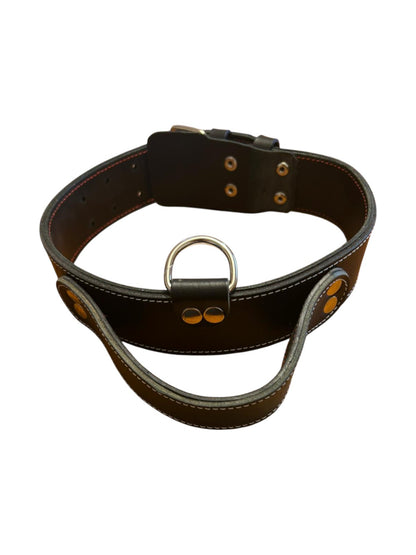 Zgardă câine 5 CM dublă cu mâner