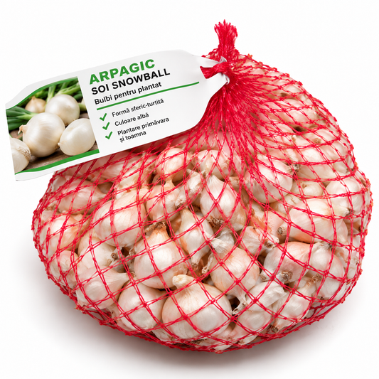 ARPAGIC SNOWBALL – PENTRU PLANTAT