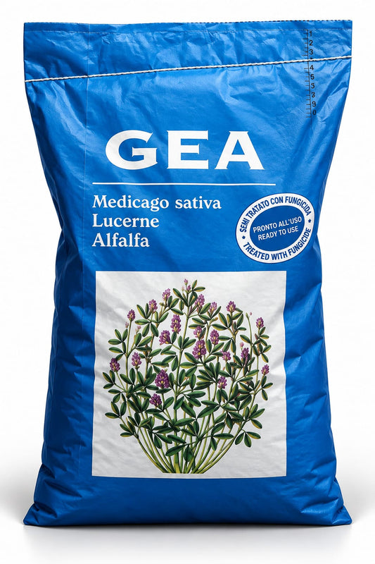 LUCERNĂ GEA – SĂMÂNȚĂ PREGĂTITĂ PENTRU ÎNFIINȚAREA CULTURII!