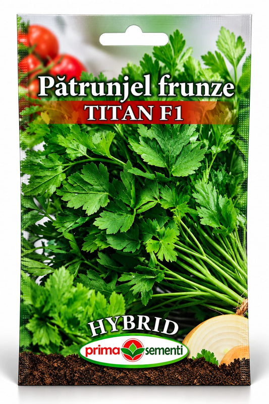 PĂTRUNJEL DE FRUNZE TITAN F1 – VERDE, BOGAT ȘI MEREU LA ÎNDEMÂNĂ!