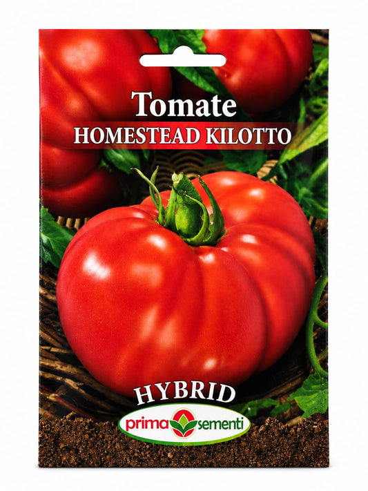 TOMATE HOMESTEAD KILOTTO – ROȘII MARI, CĂRNOASE ȘI PLINE DE GUST!