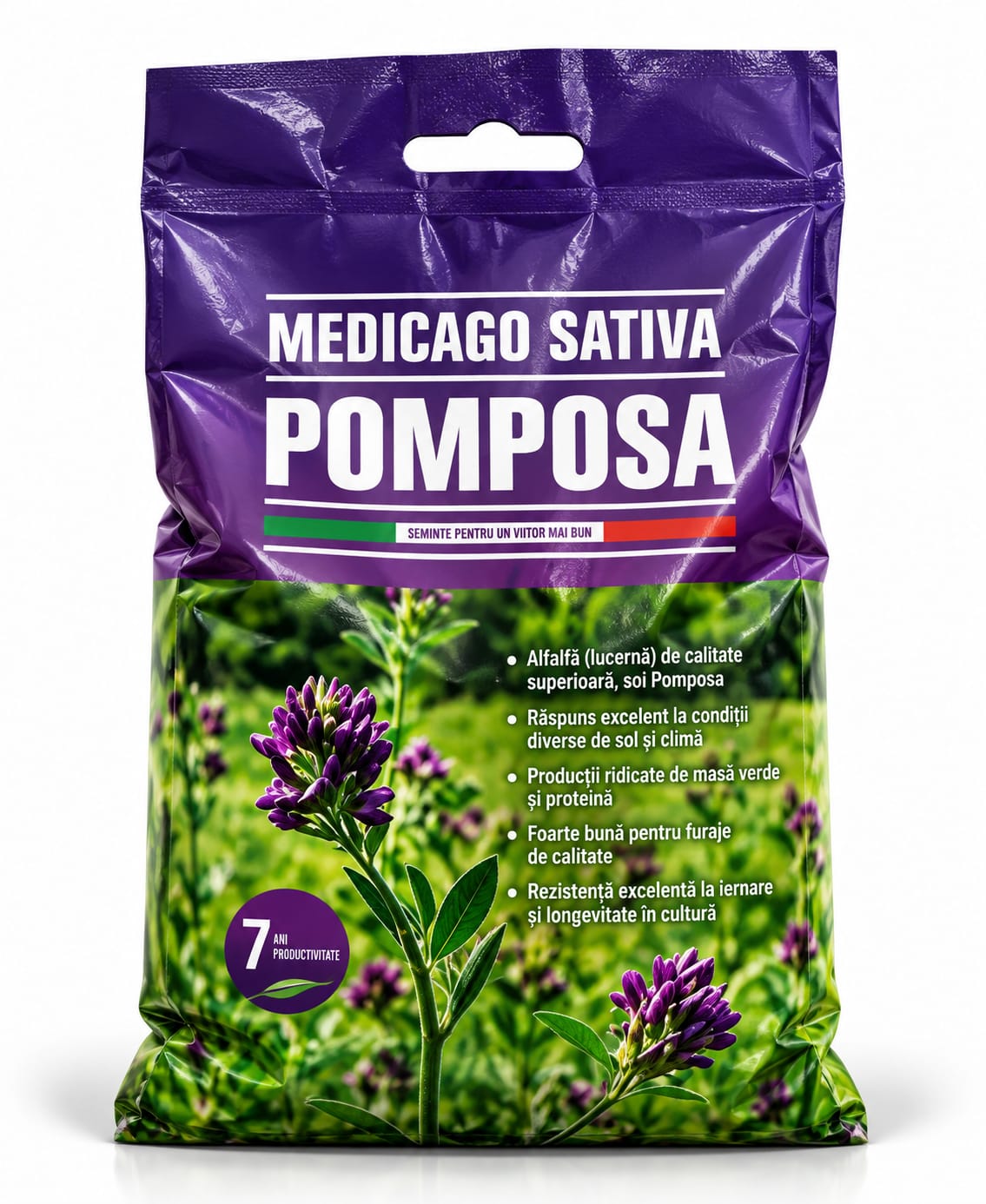 LUCERNĂ POMPOSA – PRODUCTIVITATE CARE SE VEDE ÎN FERMĂ!