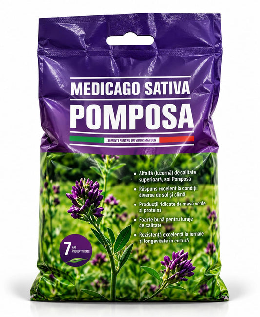 LUCERNĂ POMPOSA – PRODUCTIVITATE CARE SE VEDE ÎN FERMĂ!