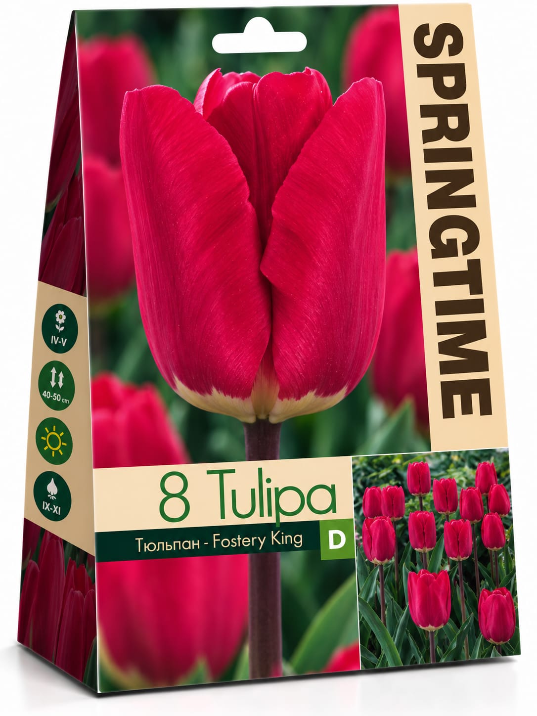 Bulbi de lalele – diverse soiuri și culori, 8 bulbi/pachet