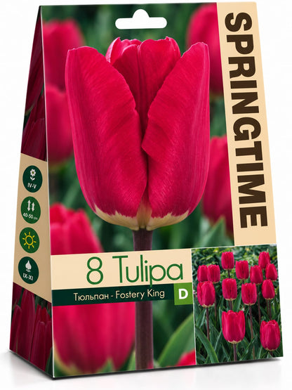 Bulbi de lalele – diverse soiuri și culori, 8 bulbi/pachet