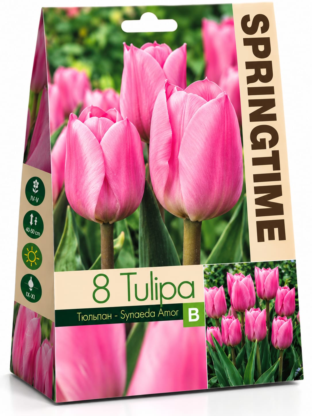 Bulbi de lalele – diverse soiuri și culori, 8 bulbi/pachet