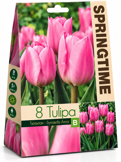 Bulbi de lalele – diverse soiuri și culori, 8 bulbi/pachet