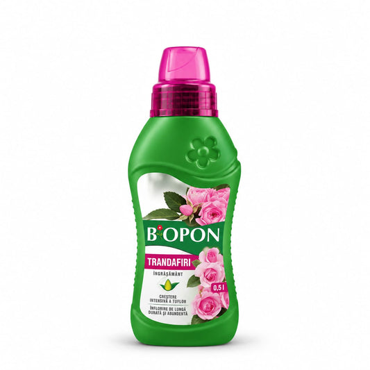 BIOPON Trandafiri 0,5 L – pentru tufe viguroase și o înflorire abundentă